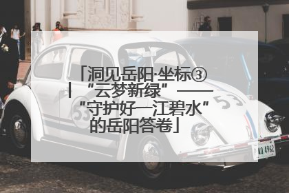 洞见岳阳·坐标③丨“云梦新绿”——“守护好一江碧水”的岳阳答卷