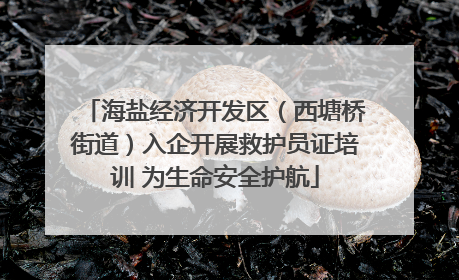 海盐经济开发区（西塘桥街道）入企开展救护员证培训 为生命安全护航