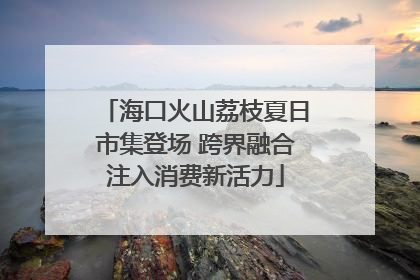 海口火山荔枝夏日市集登场 跨界融合注入消费新活力