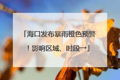 海口发布暴雨橙色预警！影响区域、时段→