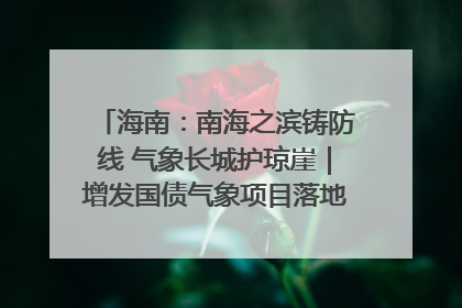 海南：南海之滨铸防线 气象长城护琼崖｜增发国债气象项目落地见效系列报道