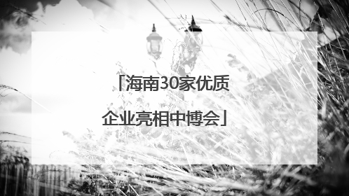 海南30家优质企业亮相中博会