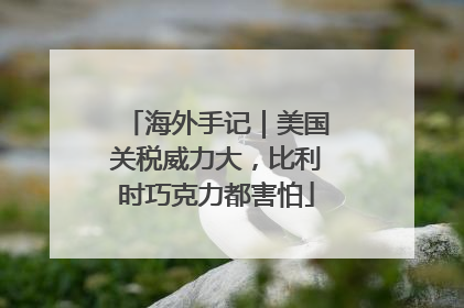 海外手记｜美国关税威力大，比利时巧克力都害怕