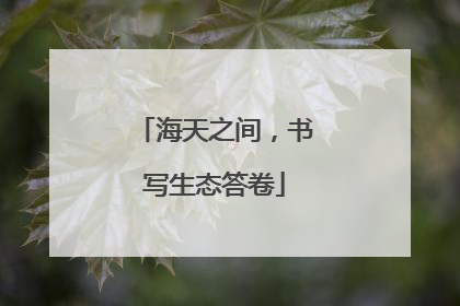 海天之间，书写生态答卷