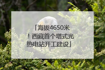 海拔4650米！西藏首个塔式光热电站开工建设