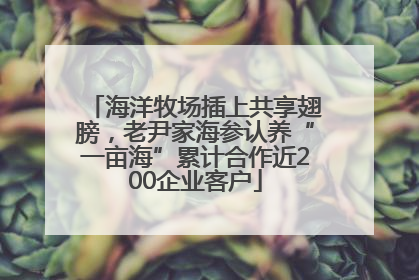 海洋牧场插上共享翅膀，老尹家海参认养“一亩海”累计合作近200企业客户
