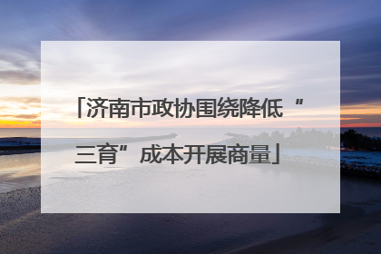 济南市政协围绕降低“三育”成本开展商量