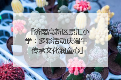 济南高新区景汇小学：多彩活动庆端午 传承文化润童心