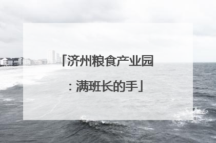 济州粮食产业园：满班长的手