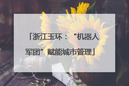 浙江玉环：“机器人军团”赋能城市管理