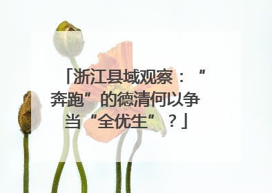 浙江县域观察：“奔跑”的德清何以争当“全优生”？