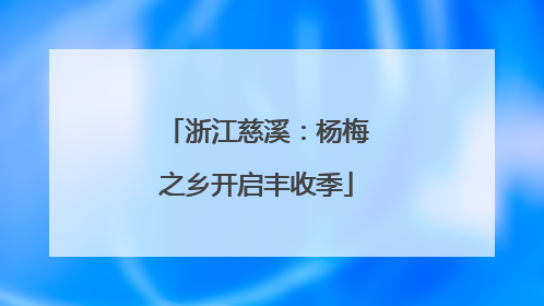 浙江慈溪：杨梅之乡开启丰收季