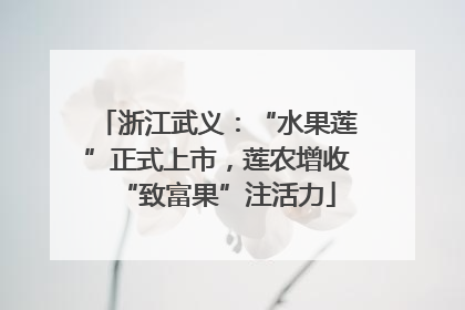 浙江武义：“水果莲”正式上市，莲农增收“致富果”注活力