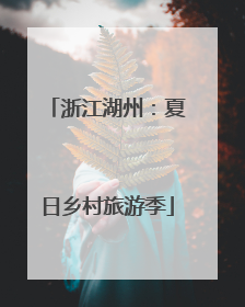 浙江湖州：夏日乡村旅游季