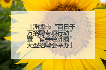 淄博市“百日千万招聘专项行动”暨“省会经济圈”大型招聘会举办