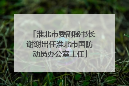 淮北市委副秘书长谢谢出任淮北市国防动员办公室主任