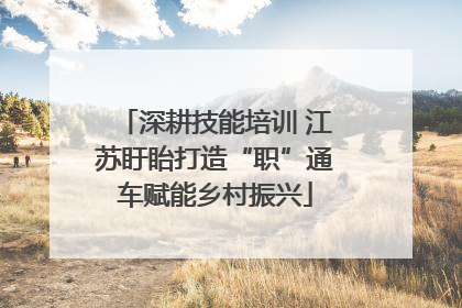 深耕技能培训 江苏盱眙打造“职”通车赋能乡村振兴