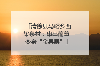 清徐县马峪乡西梁泉村：串串葡萄变身“金果果”
