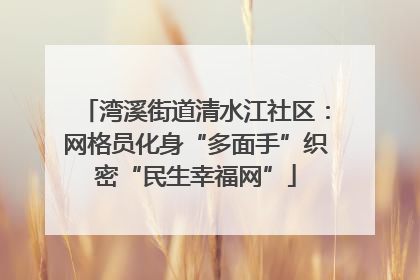 湾溪街道清水江社区：网格员化身“多面手”织密“民生幸福网”