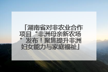 湖南省对非农业合作项目“非洲母亲新农场”发布！聚焦提升非洲妇女能力与家庭福祉