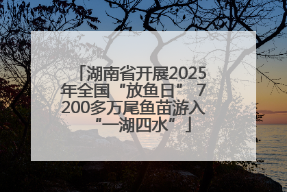 湖南省开展2025年全国“放鱼日” 7200多万尾鱼苗游入“一湖四水”