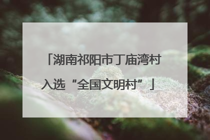 湖南祁阳市丁庙湾村入选“全国文明村”
