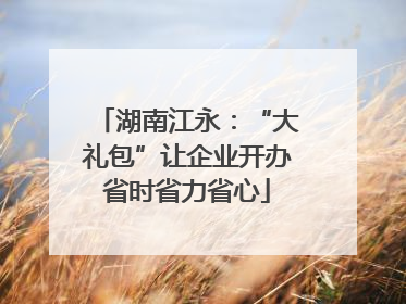 湖南江永：“大礼包”让企业开办省时省力省心