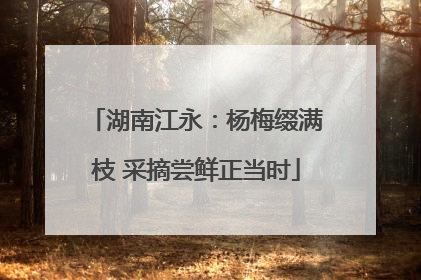湖南江永：杨梅缀满枝 采摘尝鲜正当时