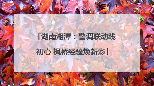 湖南湘潭：警调联动践初心 枫桥经验焕新彩