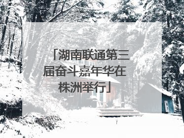 湖南联通第三届奋斗嘉年华在株洲举行