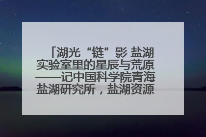湖光“链”影 盐湖实验室里的星辰与荒原——记中国科学院青海盐湖研究所，盐湖资源化学实验室党总支书记、副主任刘忠