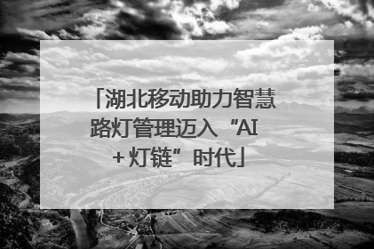 湖北移动助力智慧路灯管理迈入“AI＋灯链”时代
