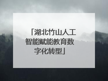 湖北竹山人工智能赋能教育数字化转型
