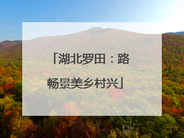 湖北罗田：路畅景美乡村兴