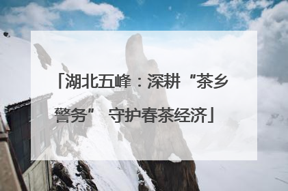 湖北五峰：深耕“茶乡警务” 守护春茶经济