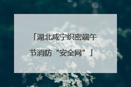 湖北咸宁织密端午节消防“安全网”
