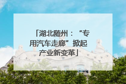 湖北随州：“专用汽车走廊”掀起产业新变革
