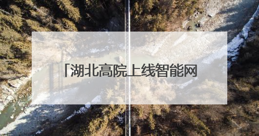 湖北高院上线智能网拍预警系统，打造司法拍卖“防火墙”
