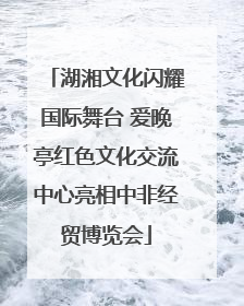 湖湘文化闪耀国际舞台 爱晚亭红色文化交流中心亮相中非经贸博览会