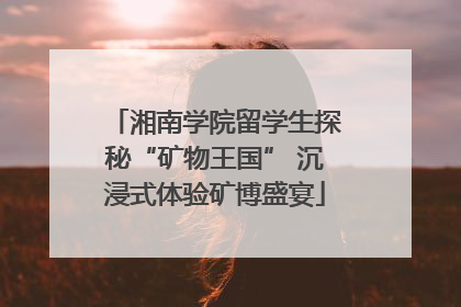 湘南学院留学生探秘“矿物王国” 沉浸式体验矿博盛宴