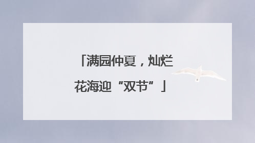 满园仲夏，灿烂花海迎“双节”