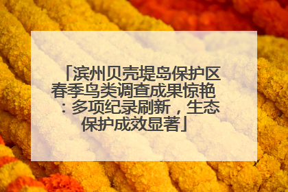 滨州贝壳堤岛保护区春季鸟类调查成果惊艳：多项纪录刷新，生态保护成效显著