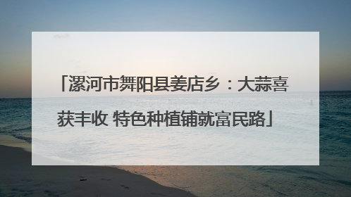 漯河市舞阳县姜店乡：大蒜喜获丰收 特色种植铺就富民路