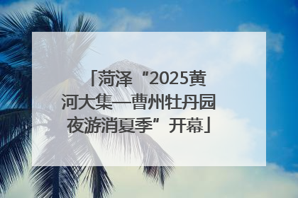 菏泽“2025黄河大集—曹州牡丹园夜游消夏季”开幕