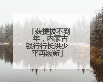 获提拔不到一年，内蒙古银行行长洪少平再履新
