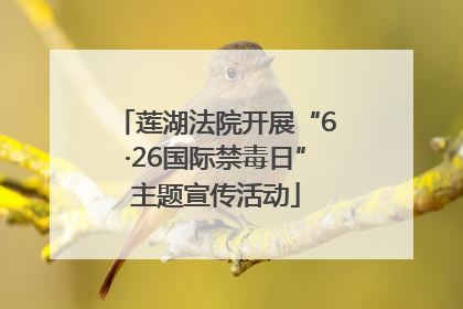 莲湖法院开展“6·26国际禁毒日”主题宣传活动