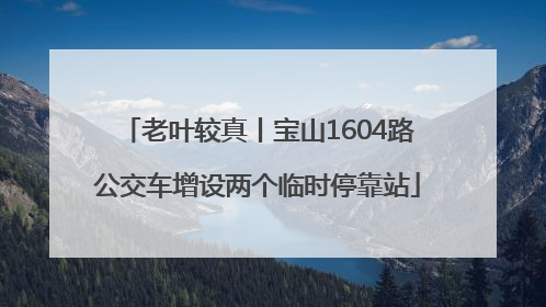 老叶较真丨宝山1604路公交车增设两个临时停靠站