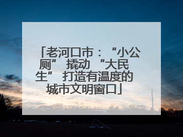 老河口市：“小公厕” 撬动 “大民生” 打造有温度的城市文明窗口