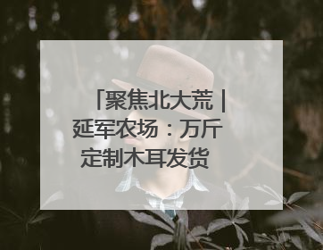 聚焦北大荒｜延军农场：万斤定制木耳发货 特色产业“成绩单”亮眼