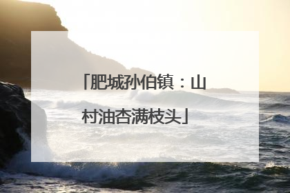 肥城孙伯镇：山村油杏满枝头
